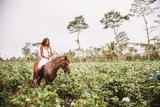 Munduk Moding Plantation Nature Resort and Spa fotoÄŸrafÄ±