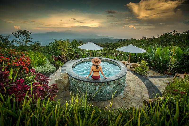 Munduk Moding Plantation Nature Resort and Spa - Havuz