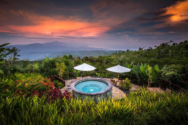 Munduk Moding Plantation Nature Resort and Spa - Havuz