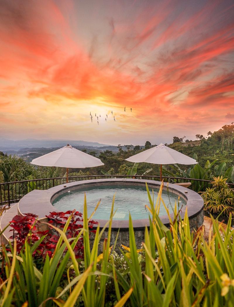 Munduk Moding Plantation Nature Resort and Spa - Havuz