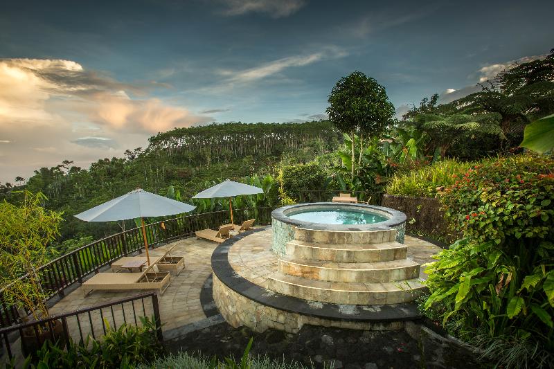 Munduk Moding Plantation Nature Resort and Spa - Havuz