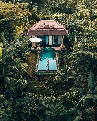 Munduk Moding Plantation Nature Resort and Spa fotoÄŸrafÄ±