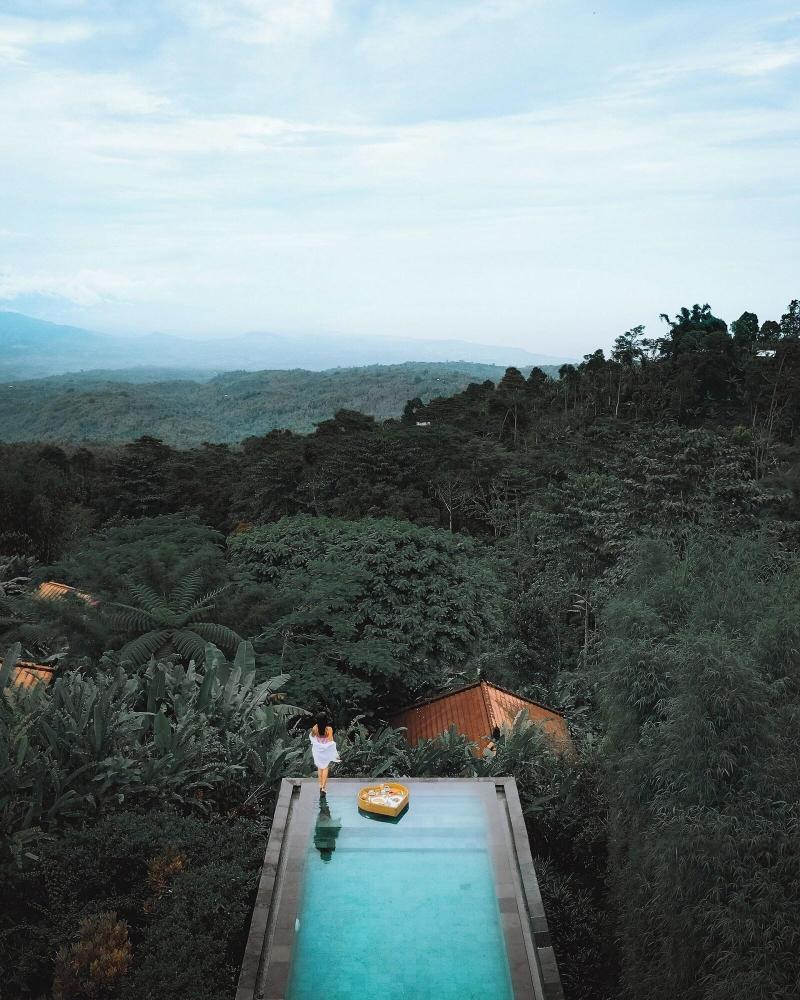 Munduk Moding Plantation Nature Resort and Spa - Havuz