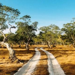Baba Ecolodge fotoÄŸrafÄ±