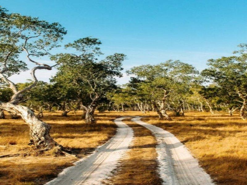 Baba Ecolodge - Genel