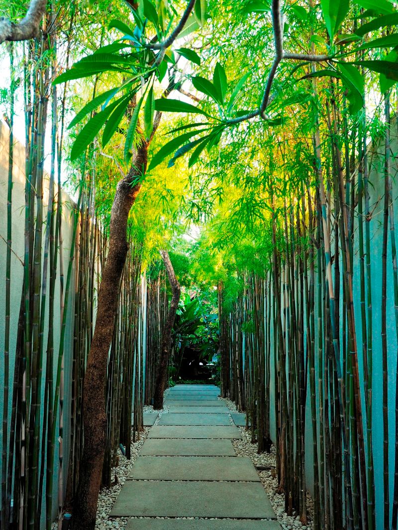 The Amala Boutique Retreat - Genel