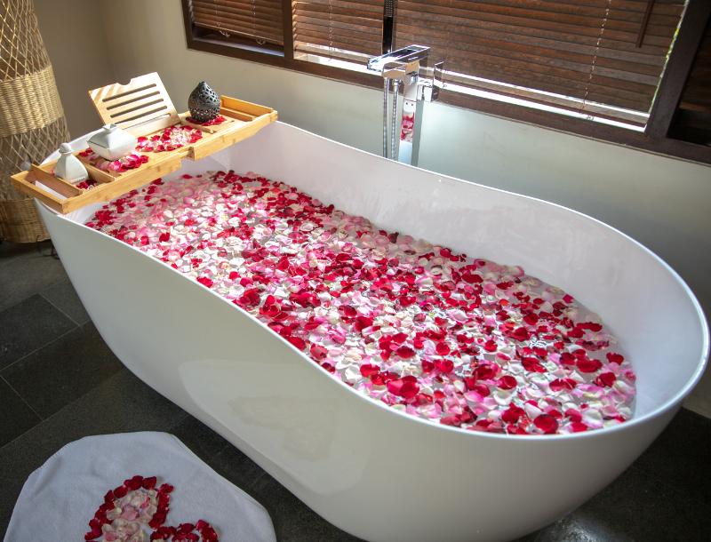 The Amala Boutique Retreat - Oda