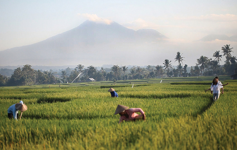 Soori Bali - Teras