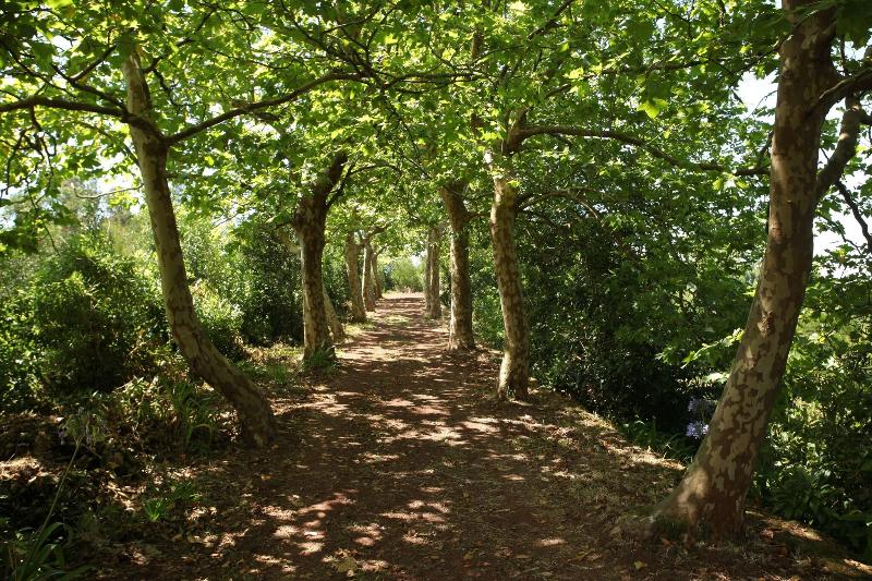 Quinta da Abelheira - Aktivite