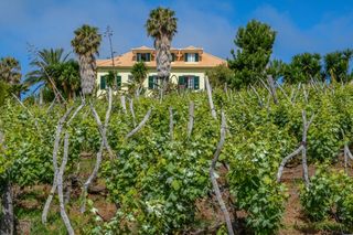Quinta Alegre fotoÄŸrafÄ±