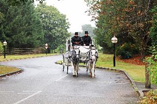 Pinewood Hotel fotoÄŸrafÄ±