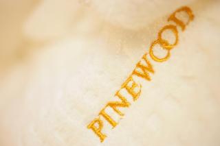 Pinewood Hotel fotoÄŸrafÄ±