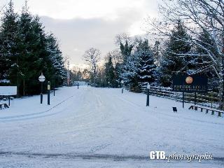 Pinewood Hotel fotoÄŸrafÄ±