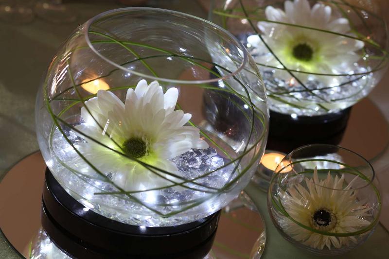 Everglades Park Hotel - Toplantı