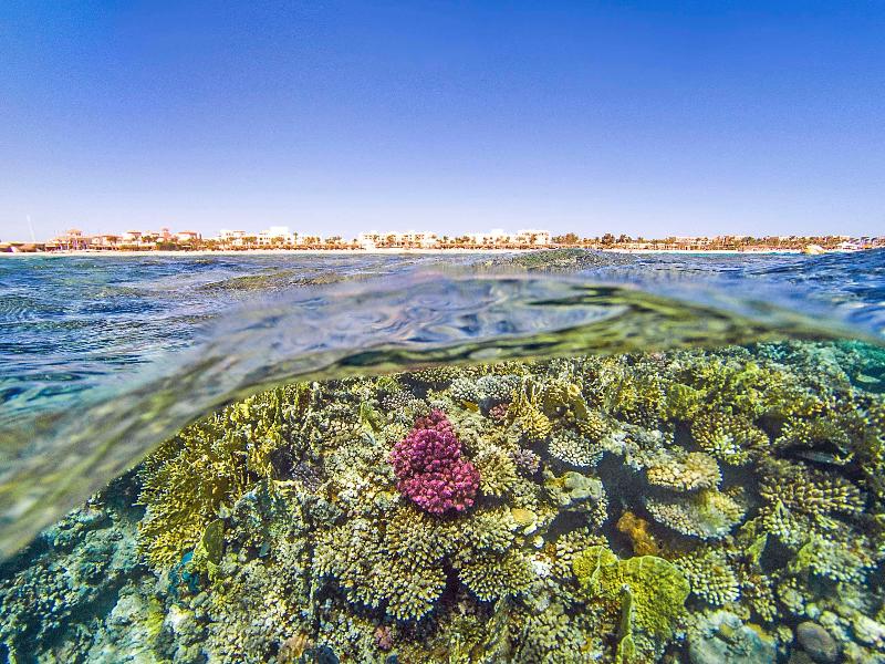 Kempinski Hotel Soma Bay - Plaj
