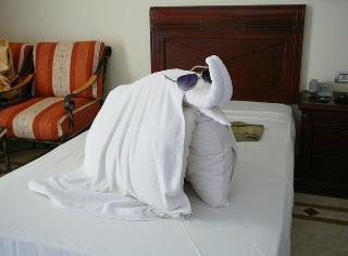 Imperial Shams Abu Soma fotoÄŸrafÄ±