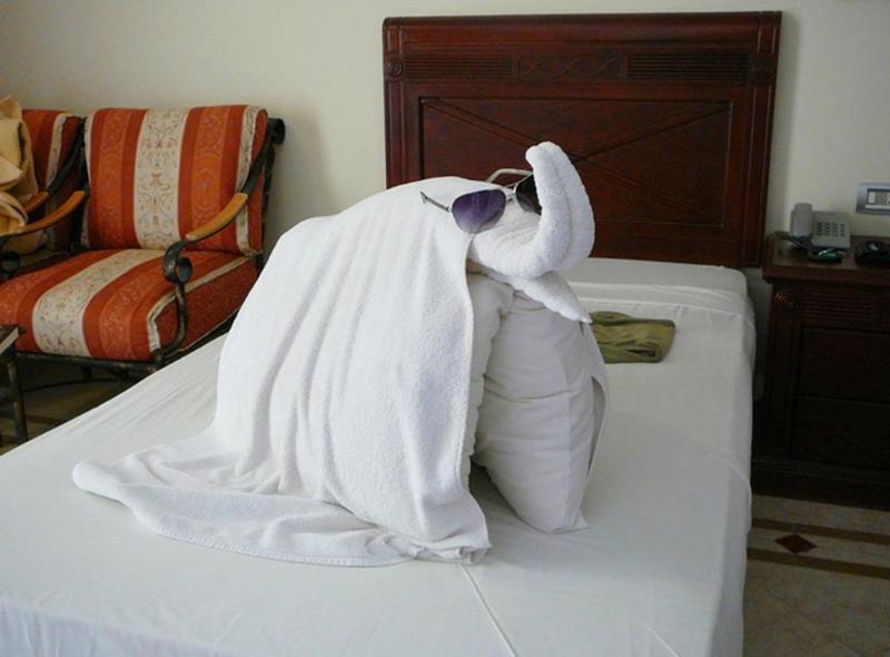 Imperial Shams Abu Soma - Genel