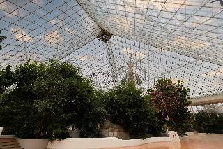 Eventhotel Pyramide fotoÄŸrafÄ±