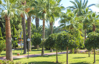 Lonicera Resort fotoÄŸrafÄ±