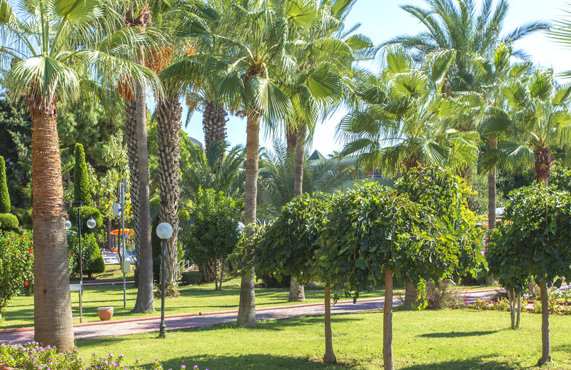 Lonicera Resort - Genel