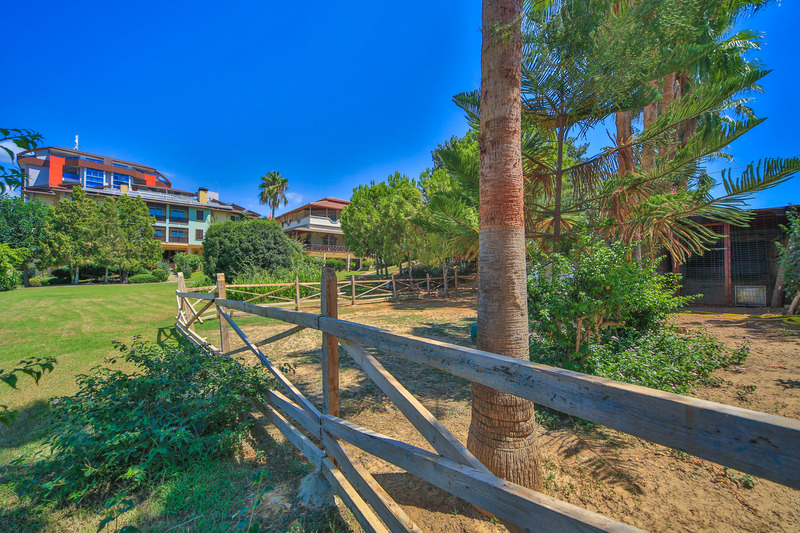 Lonicera Resort - Genel