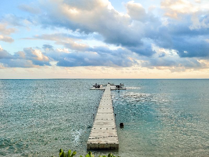 The Lamai Samui - Bar