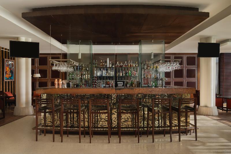 Melia Desert Palm Member of Melia Collection - Bar