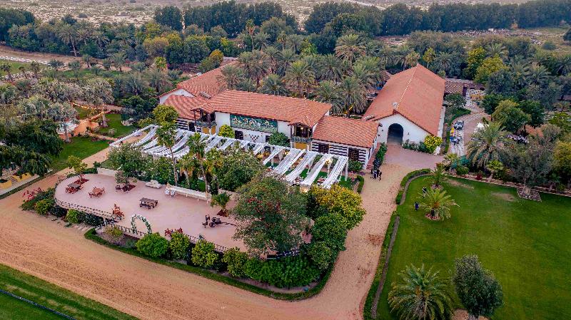 Melia Desert Palm Member of Melia Collection - Toplantı