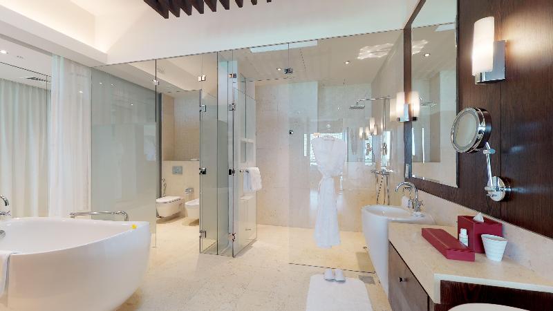 Melia Desert Palm Member of Melia Collection - Oda
