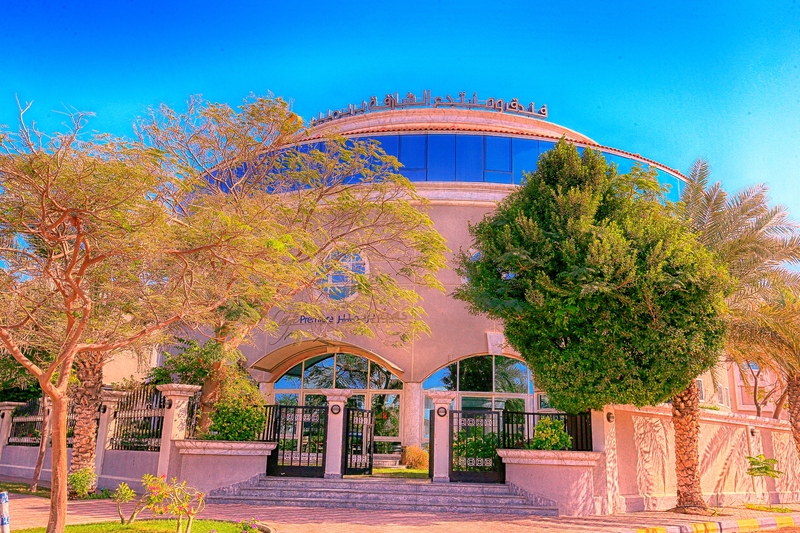 Sharjah Premiere Hotel & Resort - Genel