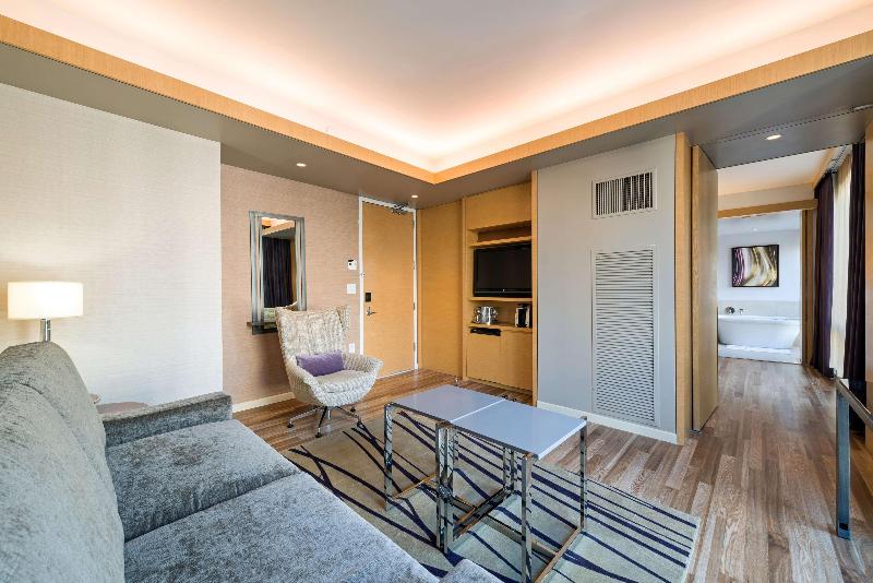 Hilton Club West 57th Street New York - Oda
