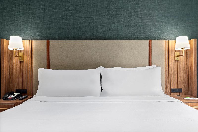 Holiday Inn Manhattan 6th Ave - Chelsea - Oda