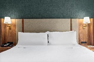 Holiday Inn Manhattan 6th Ave - Chelsea fotoÄŸrafÄ±