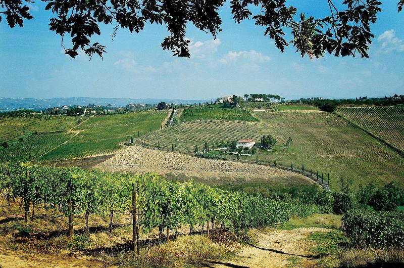 Poderi Arcangelo Agriturismo Farmhouse - Genel