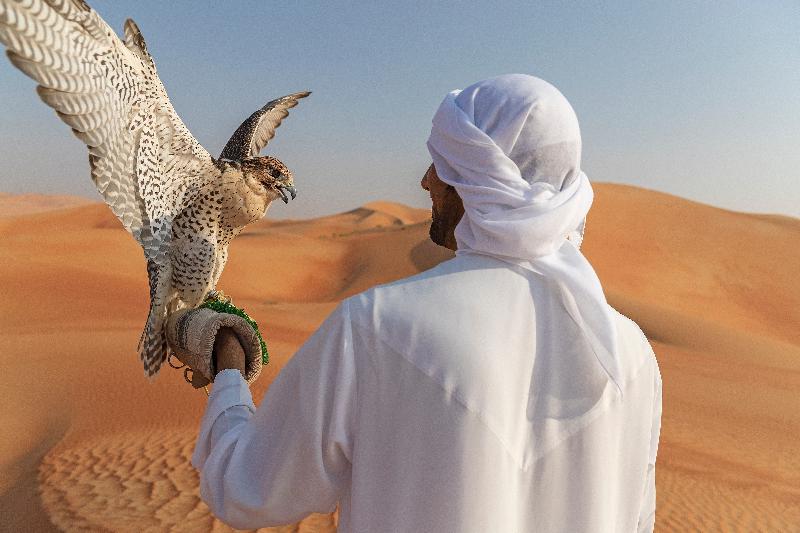 Anantara Qasr Al Sarab Resort & Spa - Aktivite