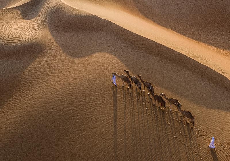 Anantara Qasr Al Sarab Resort & Spa - Genel