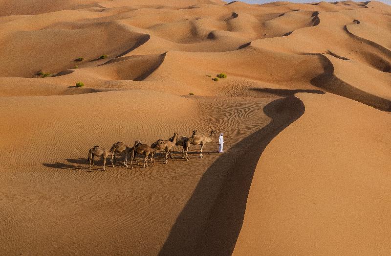 Anantara Qasr Al Sarab Resort & Spa - Genel