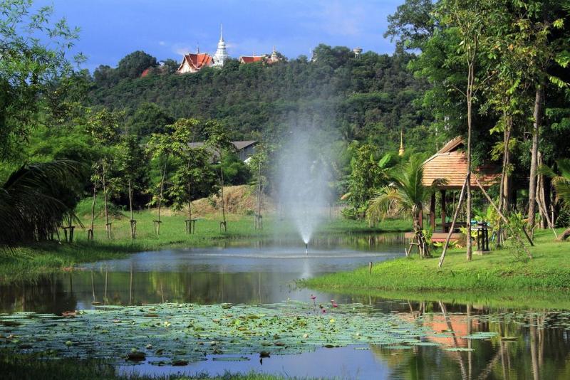 Jasmine Hills Lodge Chiang Mai - Genel