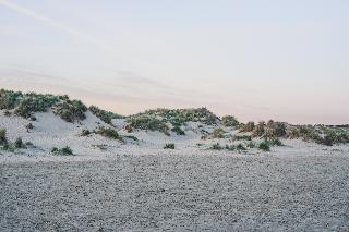 Leonardo Hotel Ijmuiden Seaport Beach fotoÄŸrafÄ±