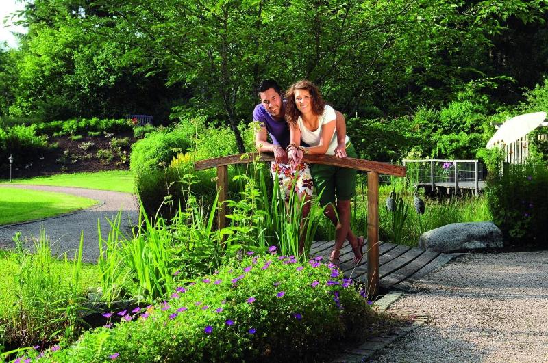 mD- Wellnesshotel Gruner Wald - Genel