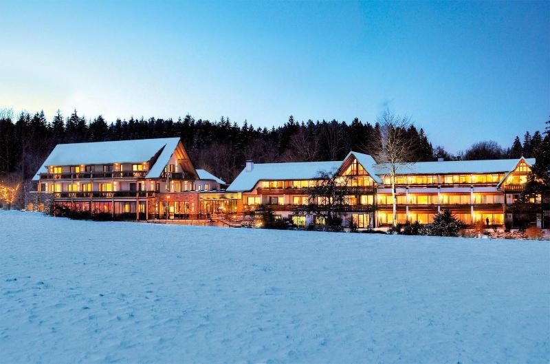 mD- Wellnesshotel Gruner Wald - Genel