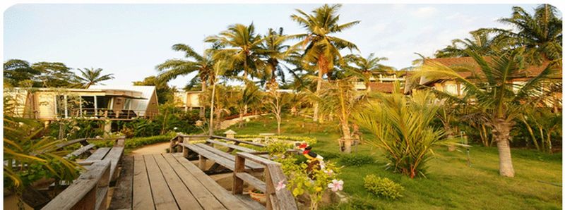 Palm Paradise Resort - Lobi