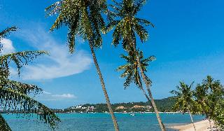 B HOUSE SAMUI fotoÄŸrafÄ±