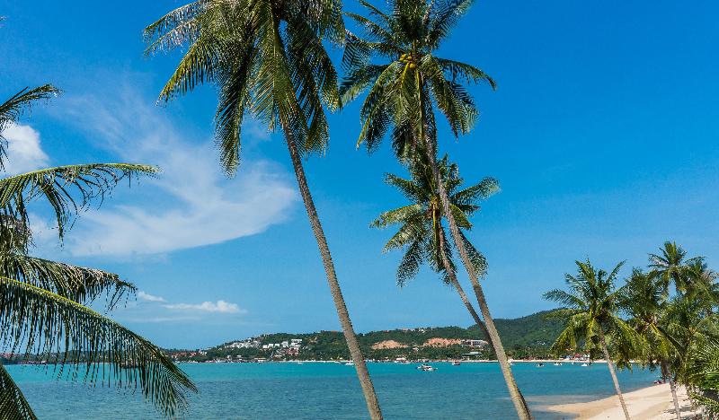 B HOUSE SAMUI - Plaj