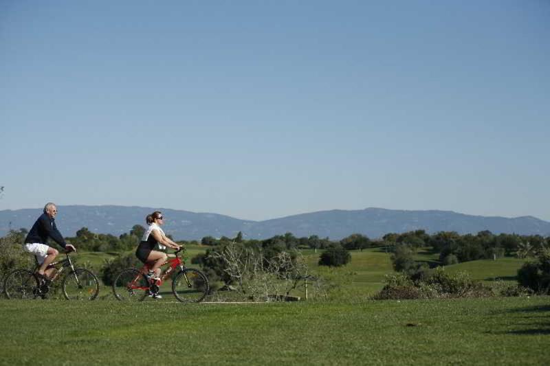 Vale D'Oliveiras Quinta Resort and Spa - Aktivite