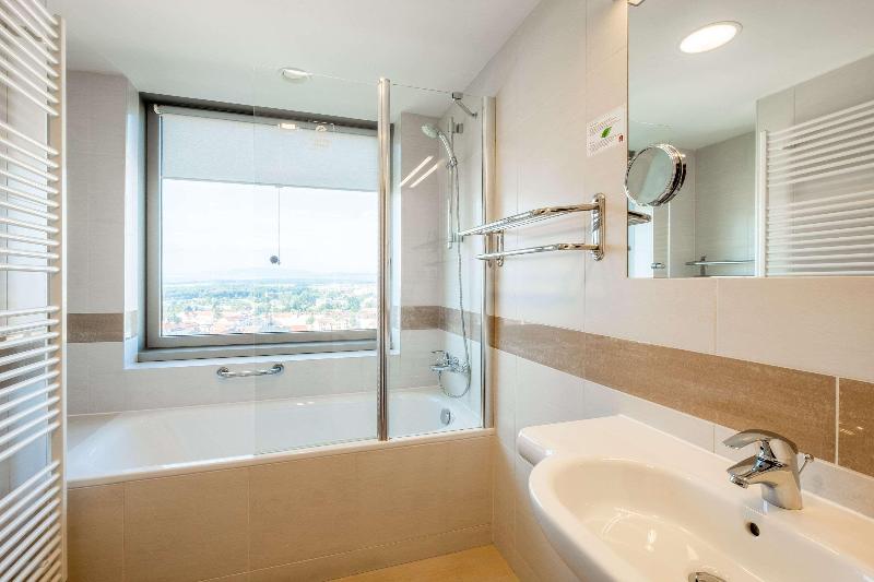 Clarion Congress Hotel Ceske Budejovice - Oda