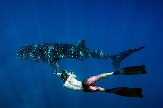 Lux South Ari Atoll fotoÄŸrafÄ±