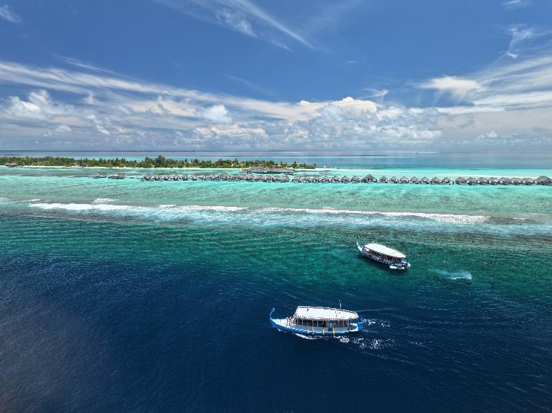 Lux South Ari Atoll - Genel