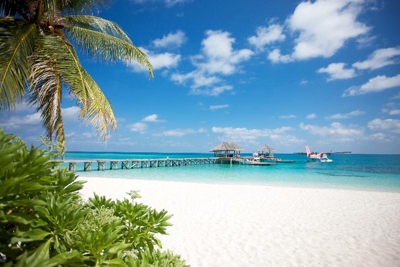 Lux South Ari Atoll - Plaj