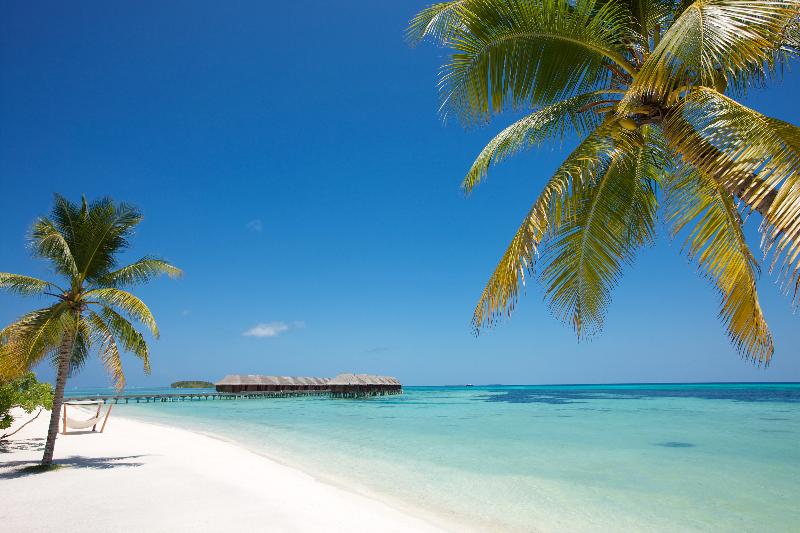 Lux South Ari Atoll - Plaj